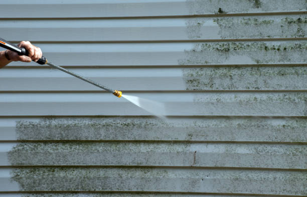 Best Sidewalk and Walkway Cleaning  in Rutherford, NJ